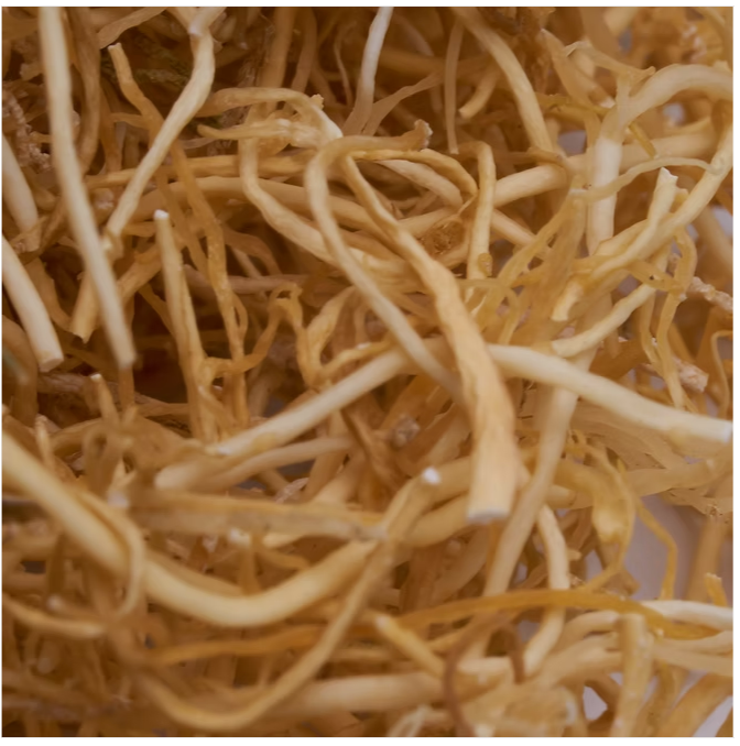GOLD SEAMOSS ®